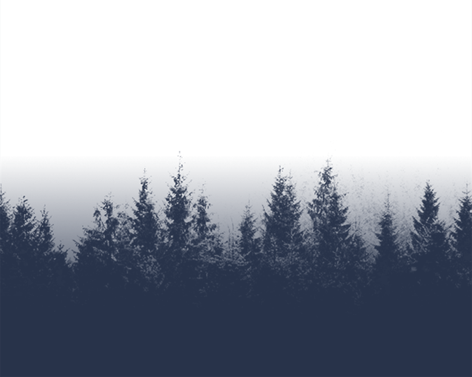 Overlay 5 navy